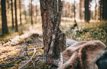 Load image into Gallery viewer, Ragnar throwing axe, Viking axe, Bearded axe, Hand forged axe, forged metal axe, Viking axe, bushcraft axe, battle axe, throwing hatchet